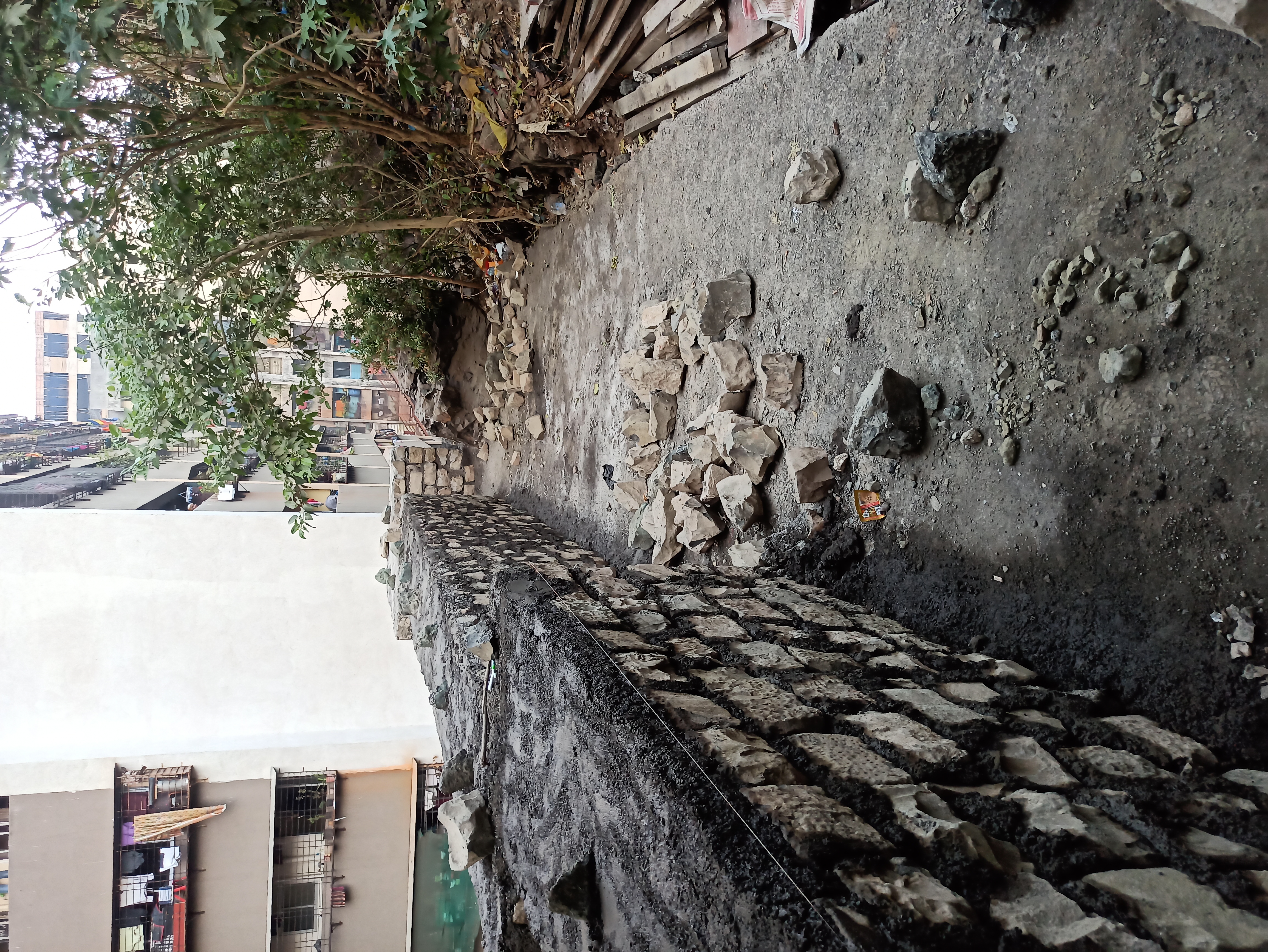 Mahaveer Mileniyam project